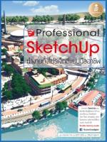 SketchUp Professional Guide